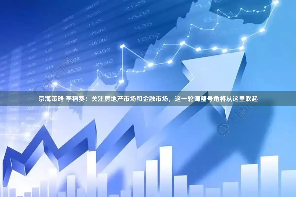 京海策略 李稻葵：关注房地产市场和金融市场，这一轮调整号角将从这里吹起