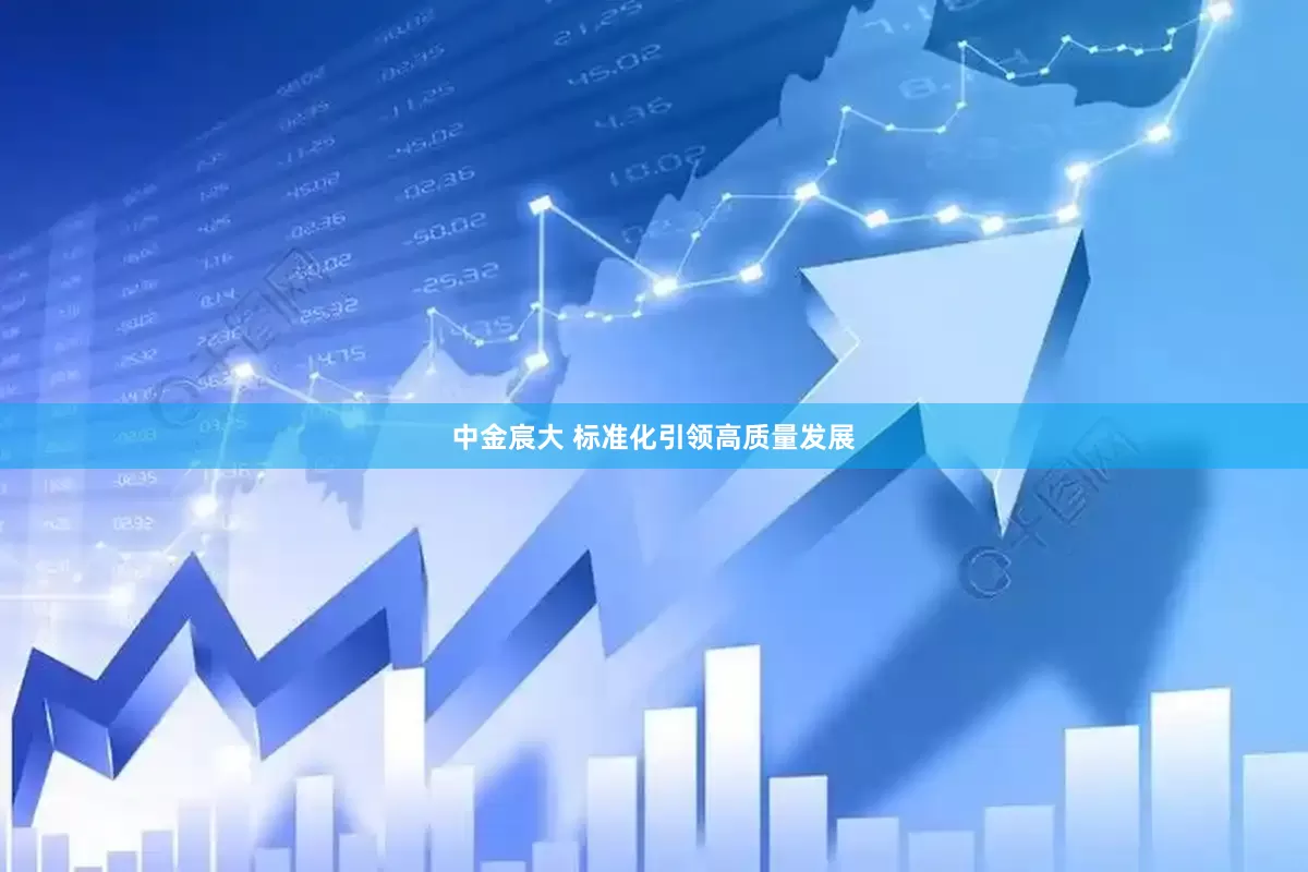 中金宸大 标准化引领高质量发展