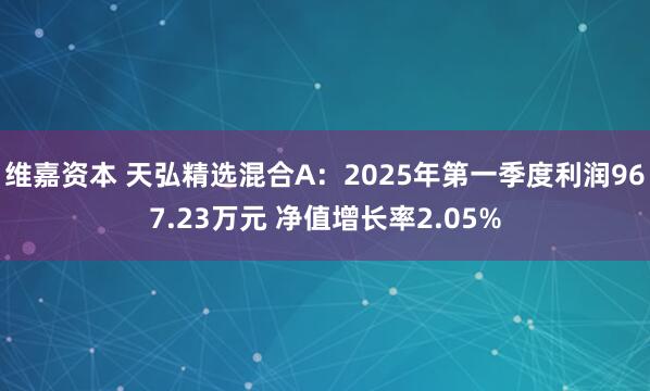 维嘉资本 天弘精选混合A：2025年第一季度利润967.23万元 净值增长率2.05%