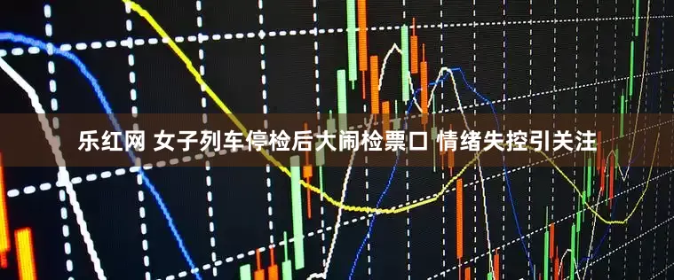 乐红网 女子列车停检后大闹检票口 情绪失控引关注