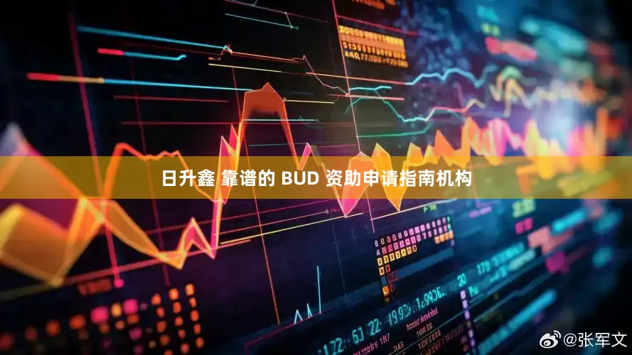 日升鑫 靠谱的 BUD 资助申请指南机构
