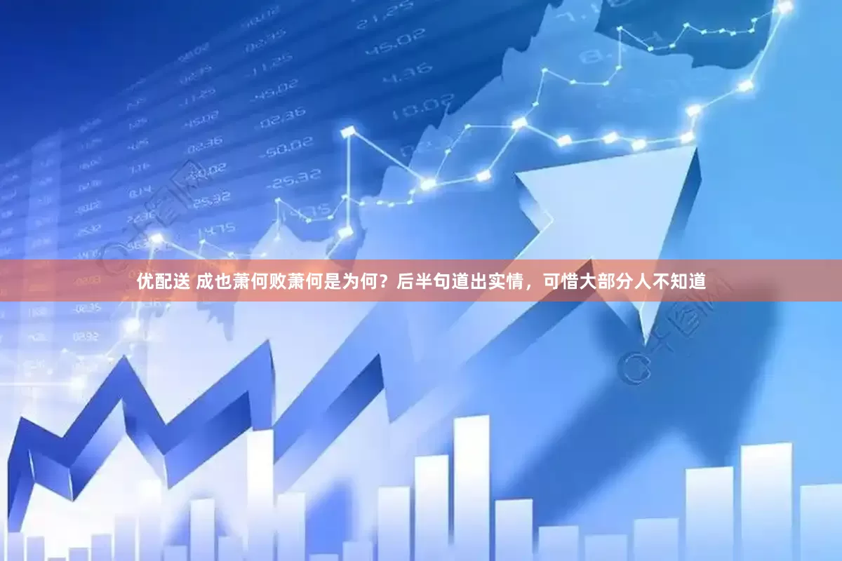 优配送 成也萧何败萧何是为何？后半句道出实情，可惜大部分人不知道