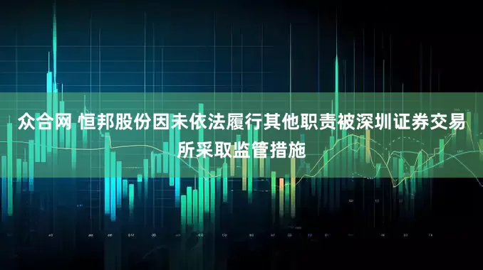众合网 恒邦股份因未依法履行其他职责被深圳证券交易所采取监管措施